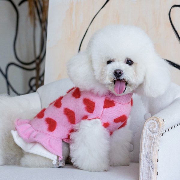 Show full view: CuteBone Hearts Dog Sweater Dress, Pink, Medium slide 2 of 9