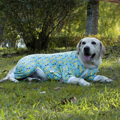 Show full view: CuteBone Bananas Big Dog Pajamas, Blue & Yellow, X-Large slide 8 of 10