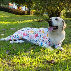 CuteBone Dino Big Dog Pajamas, Pink & White, X-Large slide 2 of 9