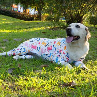 Show full view: CuteBone Dino Big Dog Pajamas, Pink & White, Medium slide 10 of 11