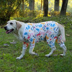 CuteBone Dino Big Dog Pajamas, Pink & White, Large slide 2 of 9