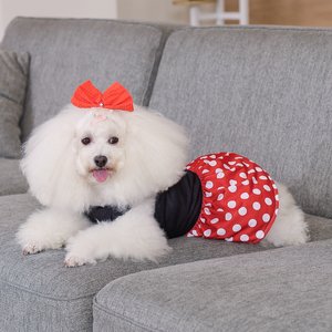 CuteBone Polka Dot Dog Mesh Sundress, Red, Medium