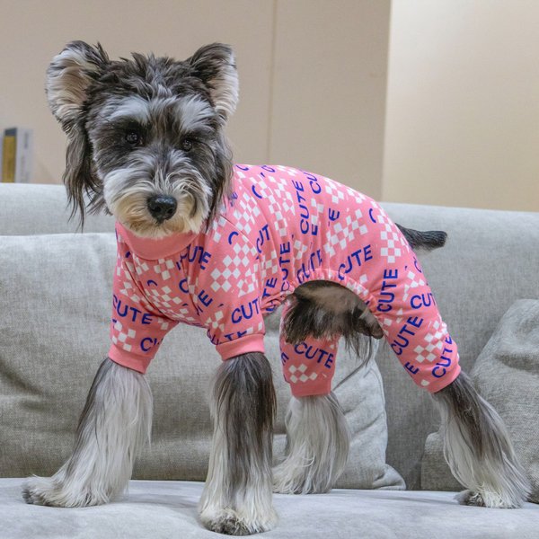 CuteBone Gradient Color Dog Pajamas