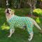 Show in main carousel: CuteBone Duck Big Dog Pajamas, Blue-Green & Yellow, X-Large slide 10 of 11