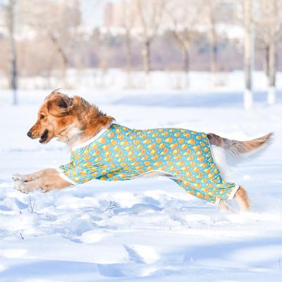 Show full view: CuteBone Duck Big Dog Pajamas, Blue-Green & Yellow, X-Large slide 9 of 11