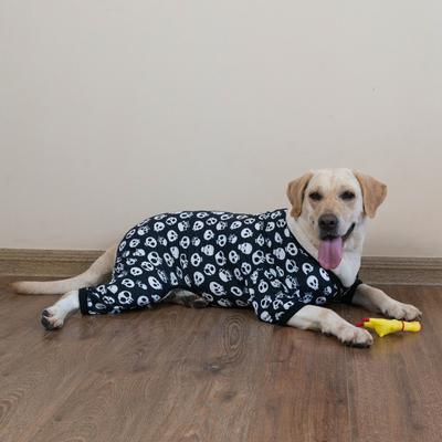Show full view: CuteBone Skull Big Dog Pajamas, Black & White, Large slide 8 of 11