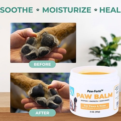 paw balm dogs pads are rough and dry