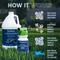 Show in main carousel: EcoStrong Outdoor Odor Eliminator, 1-gal jug & Multi-Use Sprayer slide 6 of 11