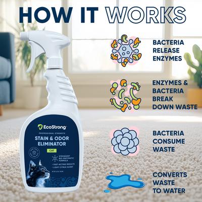 Show full view: EcoStrong Cat Stain & Odor Eliminator Spray, 32-fl oz bottle slide 4 of 10