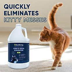 EcoStrong Cat Stain & Odor Eliminator Spray, 1-gal jug & 32-fl oz bottle slide 2 of 9