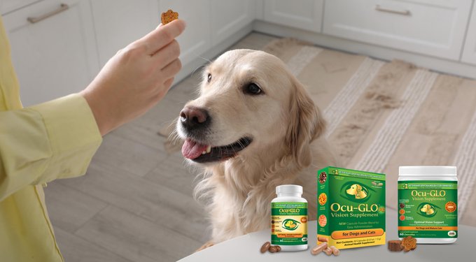 Animal Necessity Ocu-GLO Optimal Vision Support Soft Chew Dog & Cat Supplement