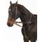 Show in main carousel: Camelot German Martingale Horse Rein, Brown slide 1 of 2