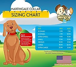 Country Brook Petz Paint Splatter Martingale Dog Collar, Medium: 15 to 21-in neck, 1-in wide slide 2 of 7