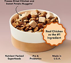 Kismet Chicken & Barley Recipe with Freeze-Dried Nugs Dry Dog Food, 9-lb bag + Beef & Sweet Potato Nugs Freeze-Dried Treats, 1-oz bag slide 2 of 9