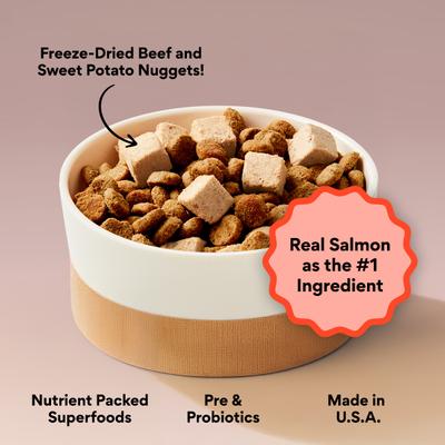 Show full view: Kismet Salmon & Brown Rice Recipe with Freeze-Dried Nugs Dry Dog Food, 19-lb bag + Beef & Sweet Potato Nugs Freeze-Dried Treats, 1-oz bag slide 5 of 10
