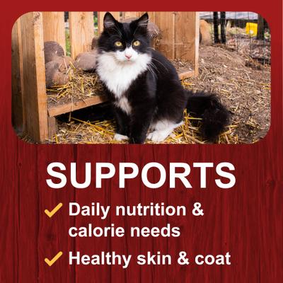 Show full view: Big Red Seafood & Fish Medley Dry Cat Food, 20-lb bag slide 7 of 9