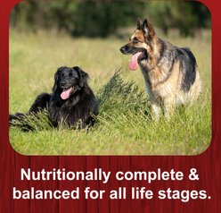 Big Red Complete Adult Meat Dry Dog Food, 50-lb bag slide 2 of 8