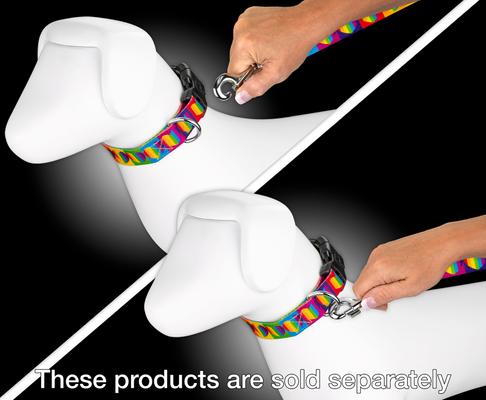 Show full view: Country Brook Petz Rainbow Hearts Dog Leash, Medium: 6-ft long, 5/8-in wide slide 5 of 6