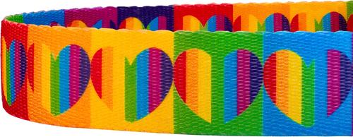 Show full view: Country Brook Petz Rainbow Hearts Dog Leash, Medium: 6-ft long, 5/8-in wide slide 4 of 6