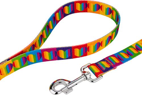 Show full view: Country Brook Petz Rainbow Hearts Dog Leash, Medium: 6-ft long, 5/8-in wide slide 3 of 6