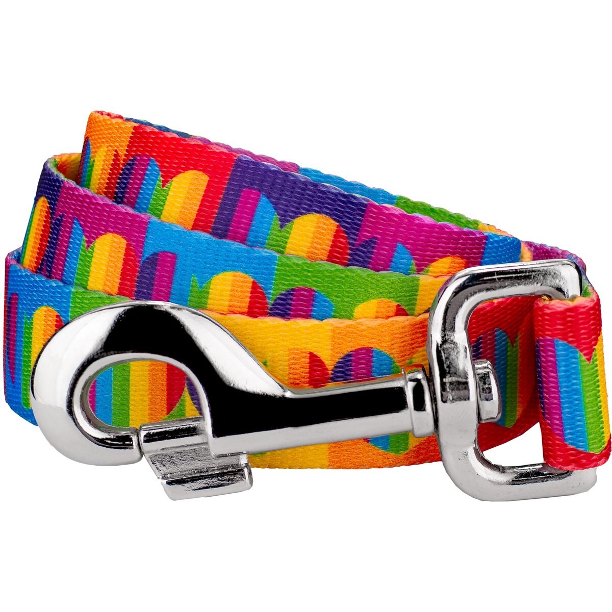 Country Brook Petz Rainbow Hearts Dog Leash, Medium: 6-ft long, 5/8-in wide