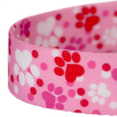 Show full view: Country Brook Design Puppy Love Dog Leash, Pink, Large: 6-ft long, 1-in wide slide 4 of 6