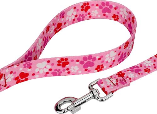 Show full view: Country Brook Design Puppy Love Dog Leash, Pink, Large: 6-ft long, 1-in wide slide 3 of 6