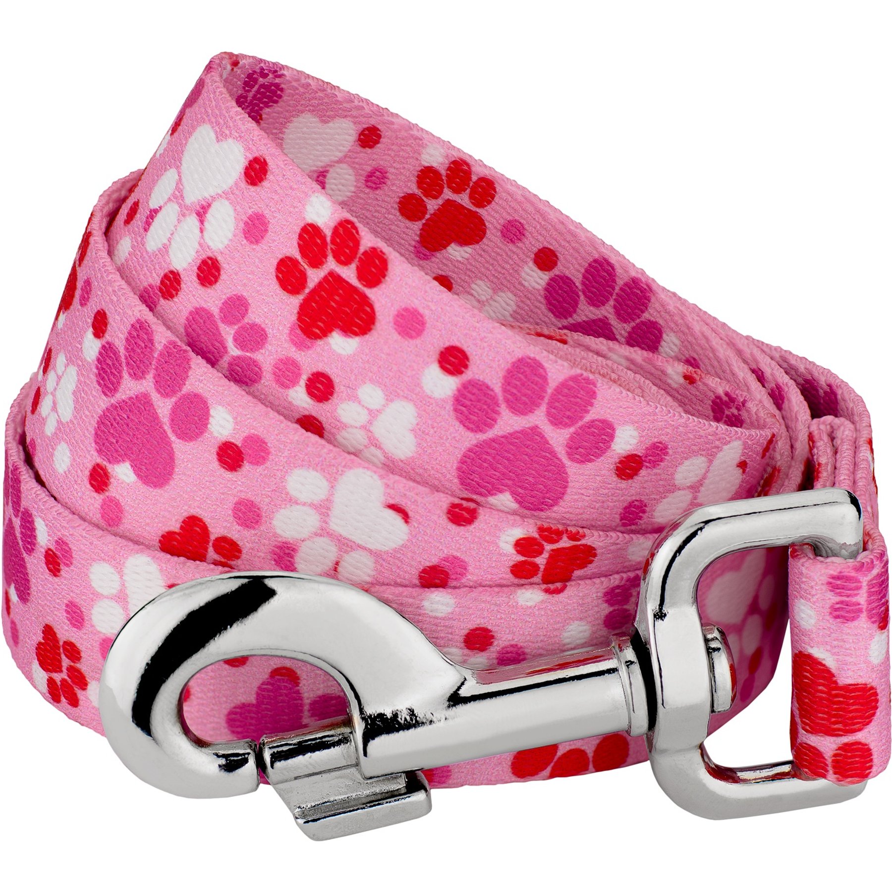 Country Brook Design Puppy Love Dog Leash, Pink, Large: 4-ft long, 1-in wide