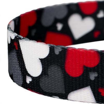 Show full view: Country Brook Petz Be Mine Dog Leash, Black, Large: 6-ft long, 1-in wide slide 4 of 5