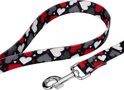 Show full view: Country Brook Petz Be Mine Dog Leash, Black, Large: 6-ft long, 1-in wide slide 2 of 5