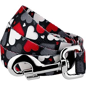 Country Brook Petz Be Mine Dog Leash, Black, Large: 4-ft long, 1-in wide