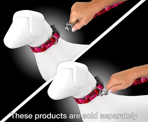 Show full view: Country Brook Design Romantic Hearts Dog Leash, Red, Large: 6-ft long, 1-in wide slide 4 of 4