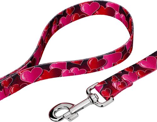 Show full view: Country Brook Design Romantic Hearts Dog Leash, Red, Large: 6-ft long, 1-in wide slide 2 of 4