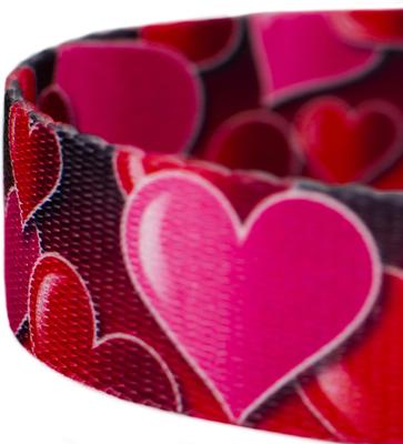Show full view: Country Brook Design Romantic Hearts Dog Leash, Red, Large: 6-ft long, 1-in wide slide 3 of 4