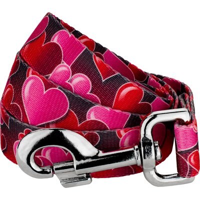Country Brook Design Country Brook Design Romantic Hearts Dog Leash, Red, Medium: 4-ft long, 5/8-in wide