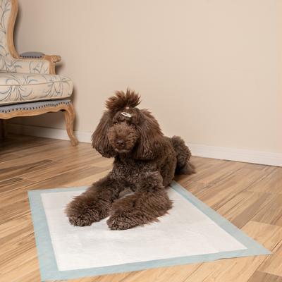 Show full view: Best Pet Supplies Disposable Puppy Pads Training Dog Potty Pads, Baby Blue, 36 x 27.5-in, 40 count slide 10 of 11