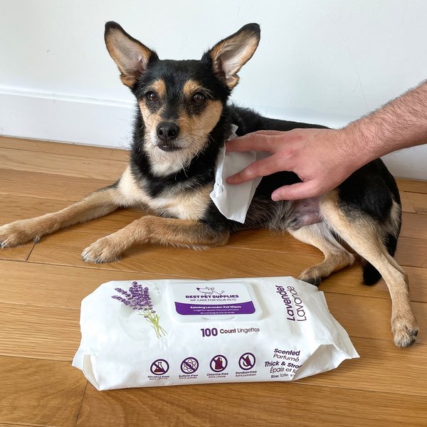Best Pet Supplies Lavender-Scented Calming Cat & Dog Grooming Wipes
