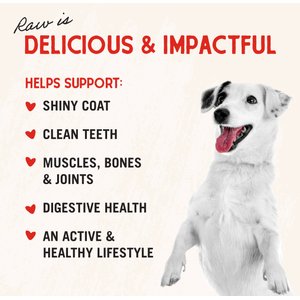 Stella & Chewy's Chicken Hearts Freeze-Dried Raw Dog Treats, 11.5-oz bag