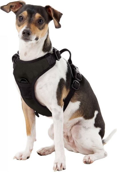 Show full view: Littlearth NHL Front Clip Dog Harness, Small, Los Angeles Kings slide 2 of 5