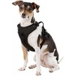 Show in main carousel: Littlearth NHL Front Clip Dog Harness, Small, Los Angeles Kings slide 2 of 5