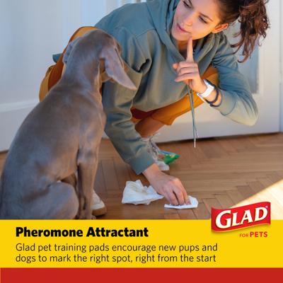 Show full view: Glad for Pets Activated Carbon Dog Training Pads 23 x 23-in, 50 count slide 10 of 11