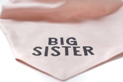 The Paws My Big Sister Dog Bandana, Pink, Small slide 2 of 2