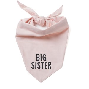 The Paws My Big Sister Dog Bandana, Pink, Large