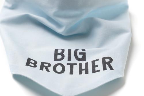 Show full view: The Paws My Big Brother Dog Bandana, Blue, Large slide 2 of 3