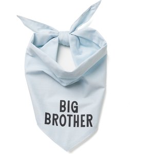 The Paws My Big Brother Dog Bandana, Blue, Small