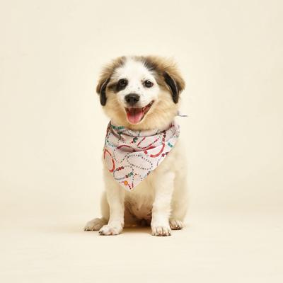 Show full view: The Paws Bestie Dog Bandana, Pink, Small slide 2 of 6
