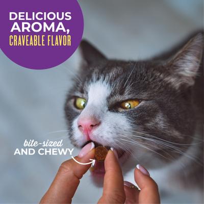 Show full view: Tiki Cat Soft & Chewy Chicken Flavor Grain-Free Cat Treats, 2-oz bag slide 7 of 11