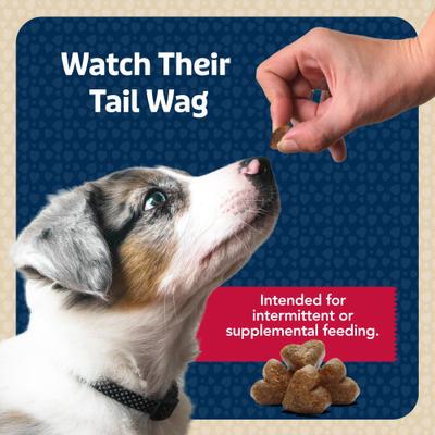 Show full view: Blue Buffalo Blue Bits Tender Beef Recipe Chicken-Free Soft-Moist Training Dog Treats, 19-oz bag slide 9 of 12