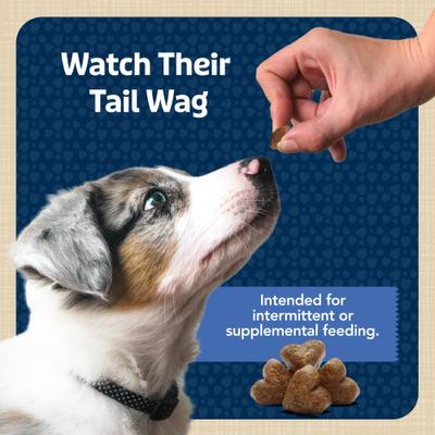 Show full view: Blue Buffalo Blue Bits Tasty Chicken Recipe Soft-Moist Training Dog Treats, 19-oz bag slide 9 of 12