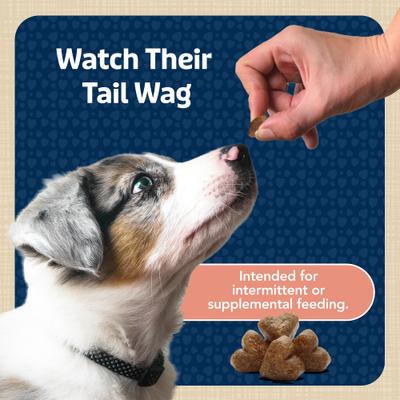 Show full view: Blue Buffalo Blue Bits Savory Salmon Recipe Chicken Free Soft-Moist Training Dog Treats, 4-oz bag slide 9 of 12